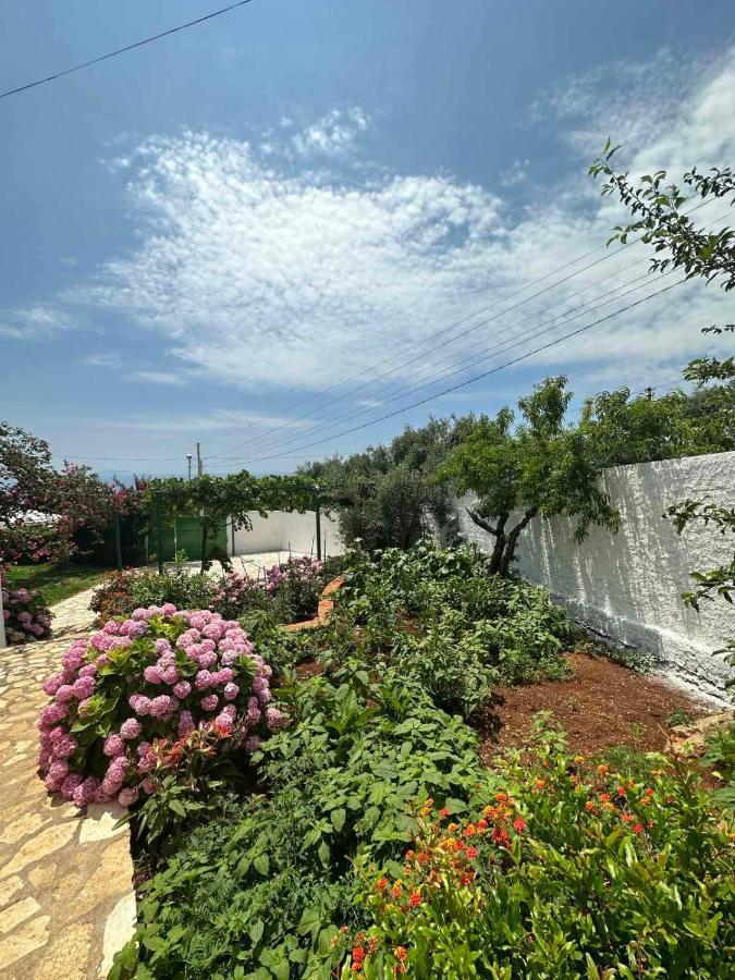 Xheko Rooms Dhërmi Exterior foto